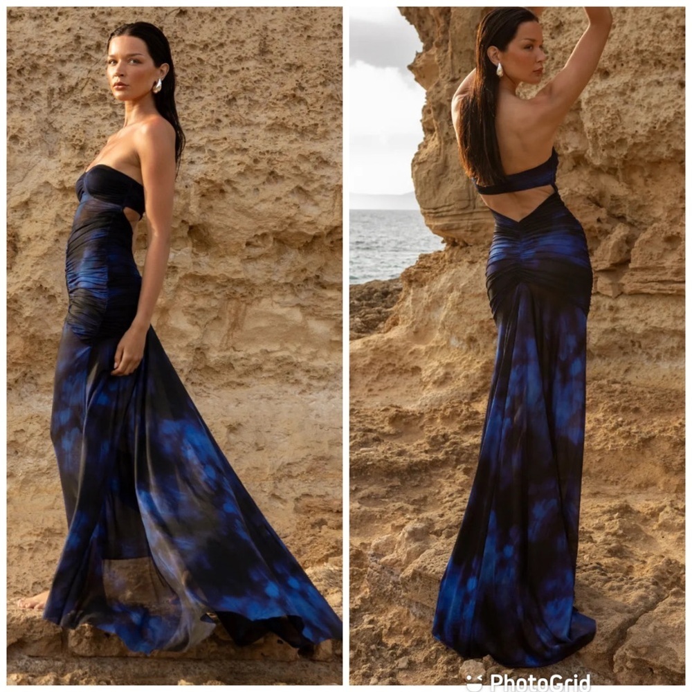 SYDNEY LANE BRONTE GATHERED MESH DRESS